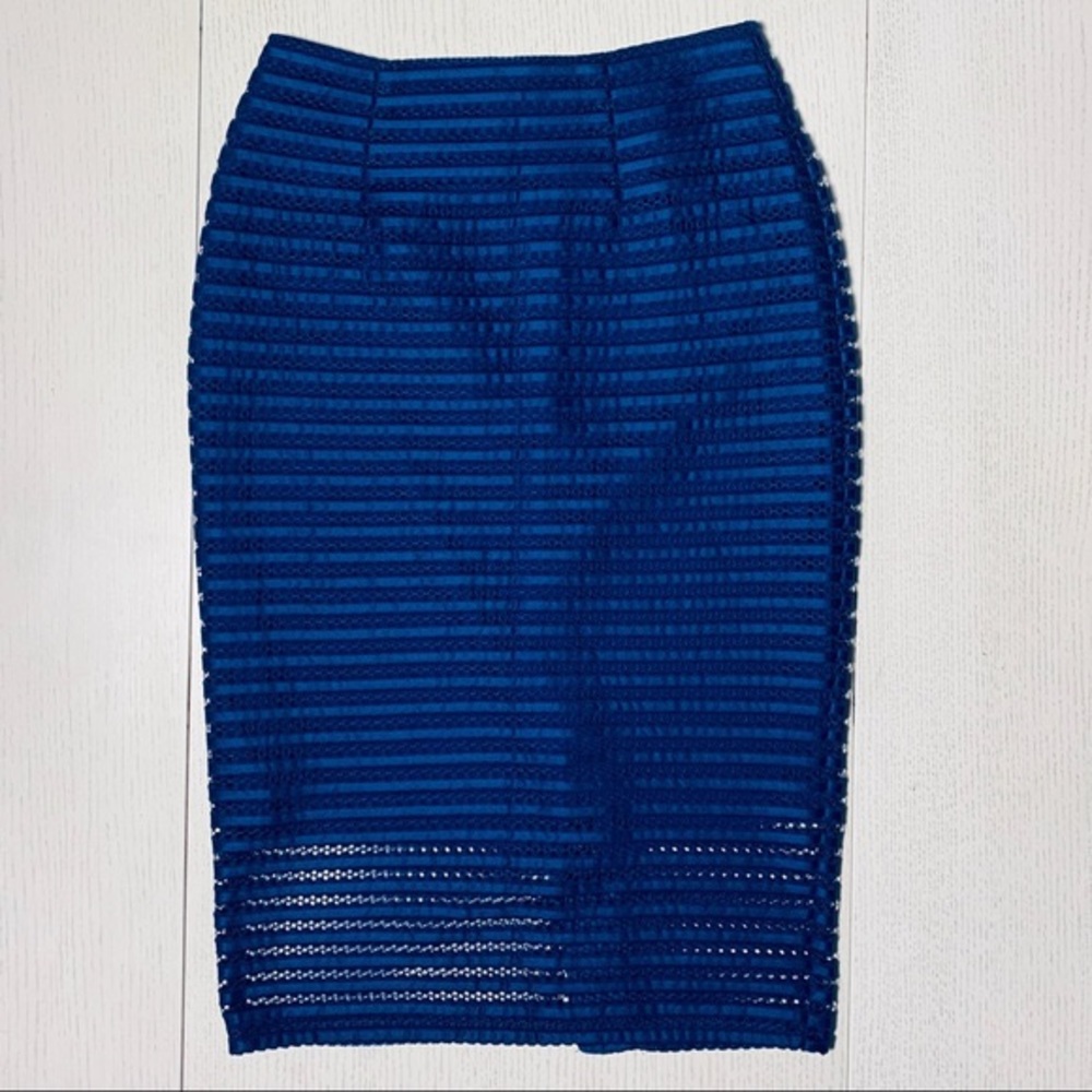 New York & Company Royal Mesh-Stripe Pencil Skirt - Picture 3 of 9